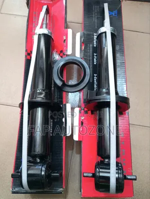 0869. Premium Quality FCS Ford F150 Strut Without Spring From USA