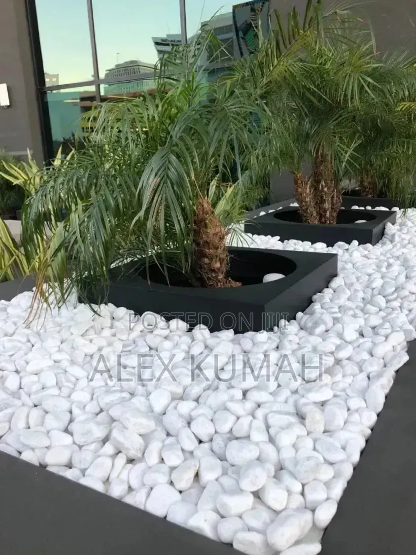 Brother Classic and Pebbles Stones
