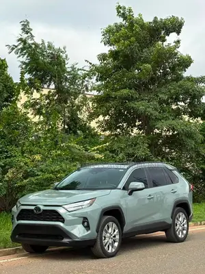 Toyota RAV4 XLE Premium AWD 2023 Gray