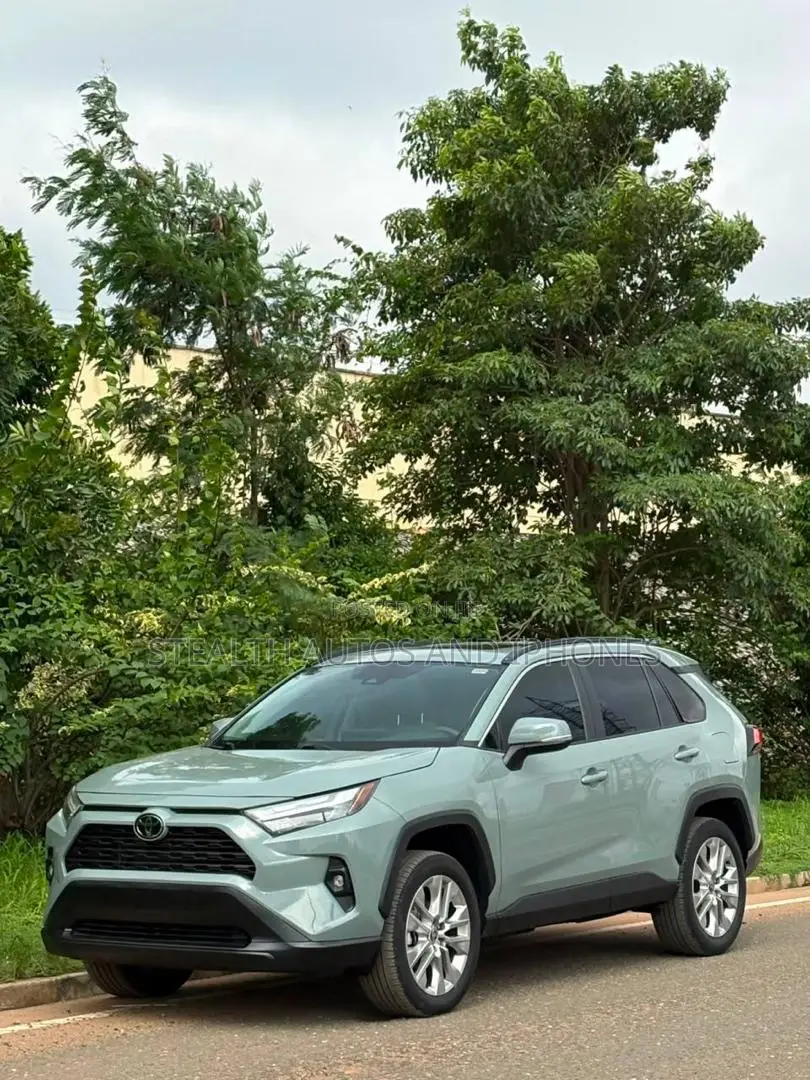 Toyota RAV4 XLE Premium AWD 2023 Gray