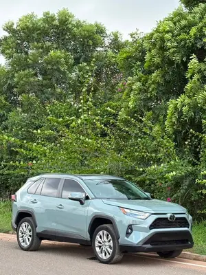 Toyota RAV4 XLE Premium AWD 2023 Gray
