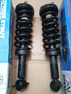 Premium Quality MEGA Ford F150 Complete Strut With Spring From USA