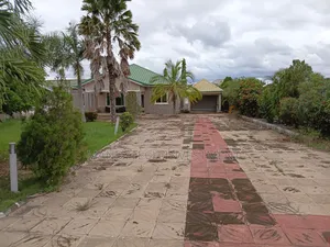 Beautiful Land for Your Dream House - Tema - Mataheko