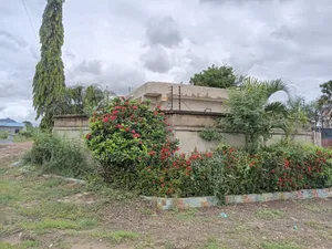 Beautiful Land for Your Dream House - Tema - Mataheko