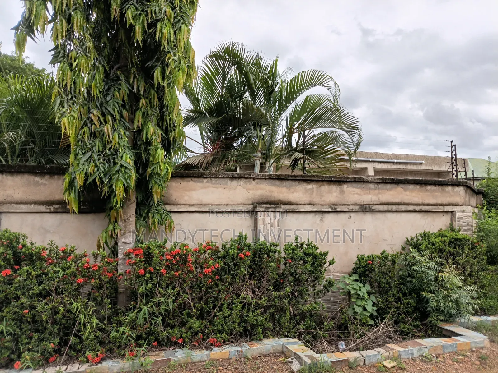 Beautiful Land for Your Dream House - Tema - Mataheko