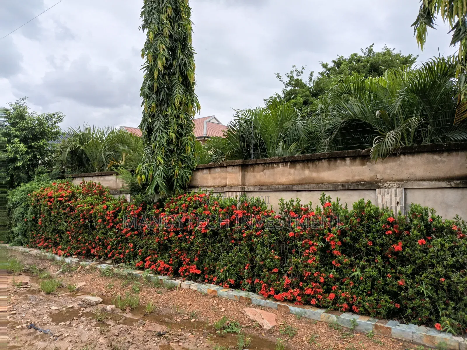 Beautiful Land for Your Dream House - Tema - Mataheko