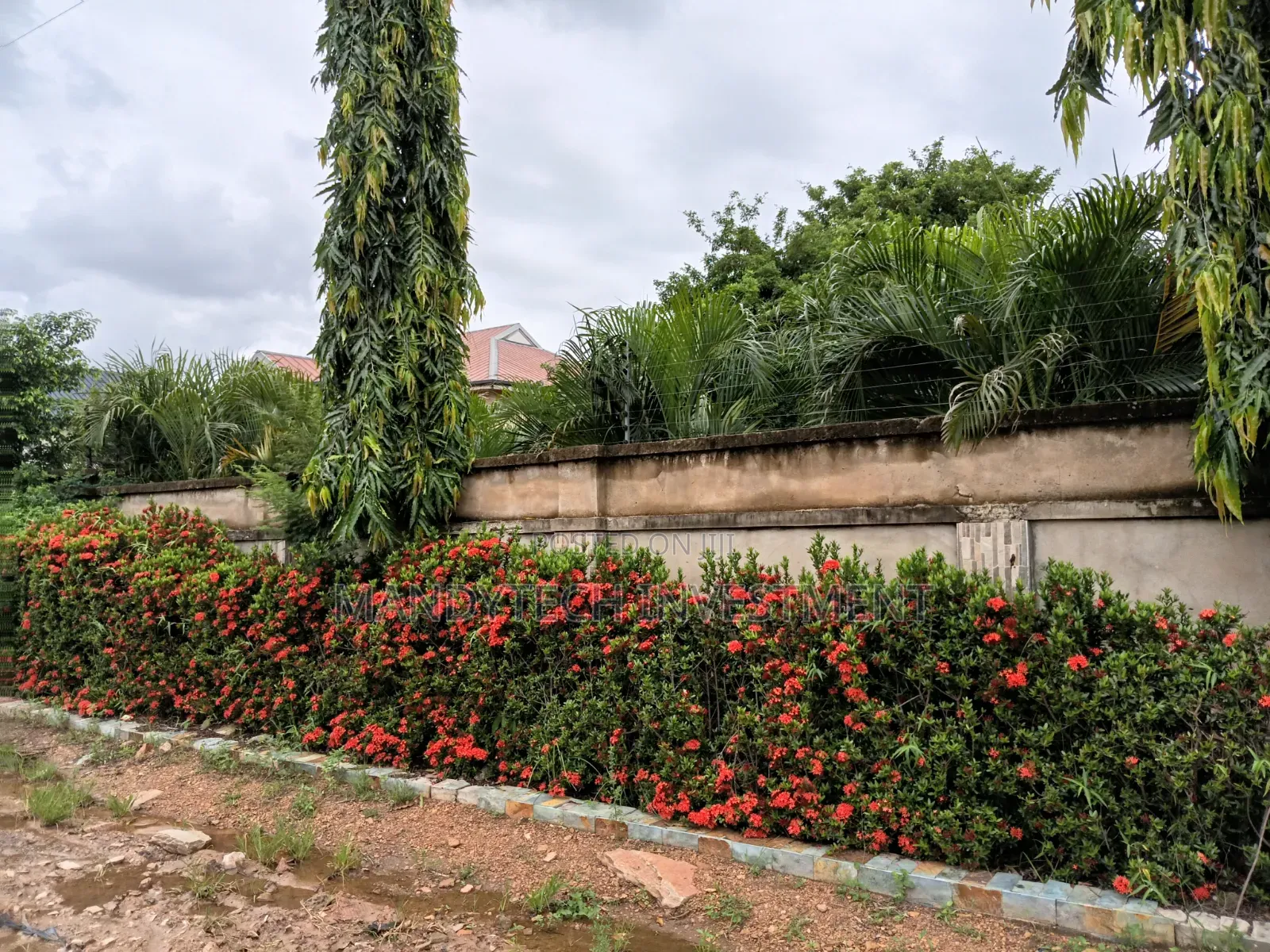 Beautiful Land for Your Dream House - Tema - Mataheko