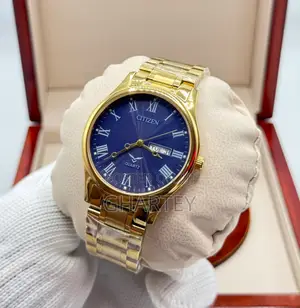 Citizen Quartz Watch – Classic Day Date Stainless Steel Timepiece