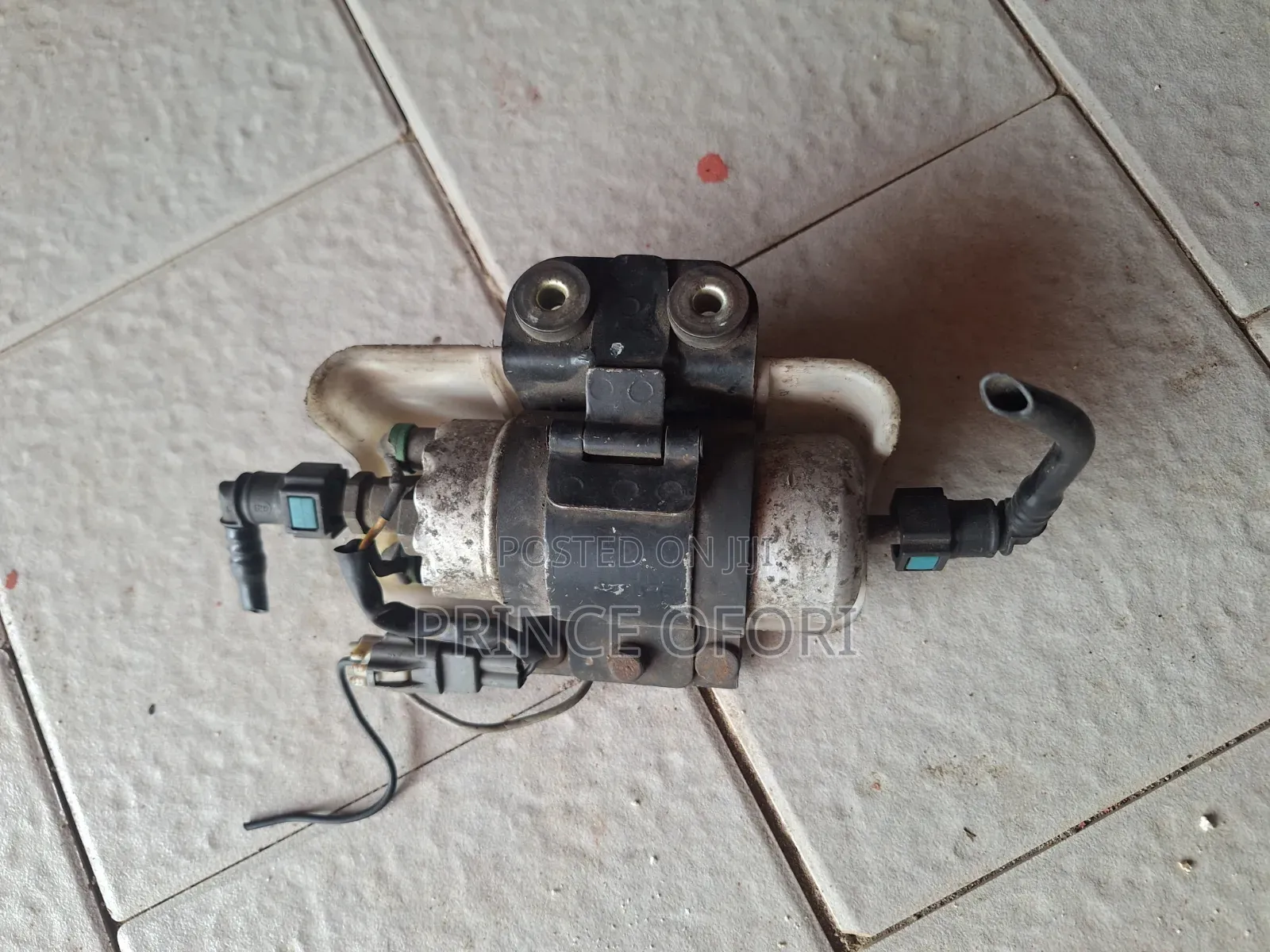 Fuel Pump Motor