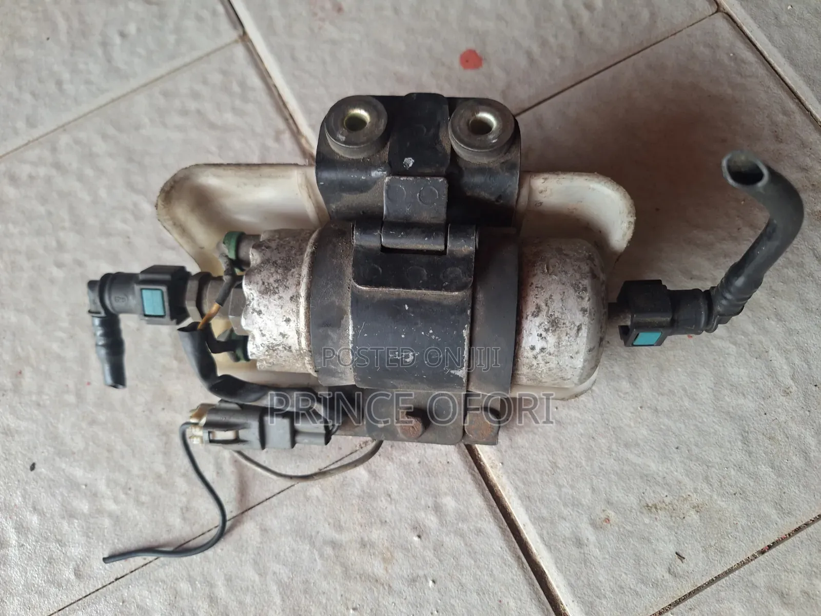 Fuel Pump Motor