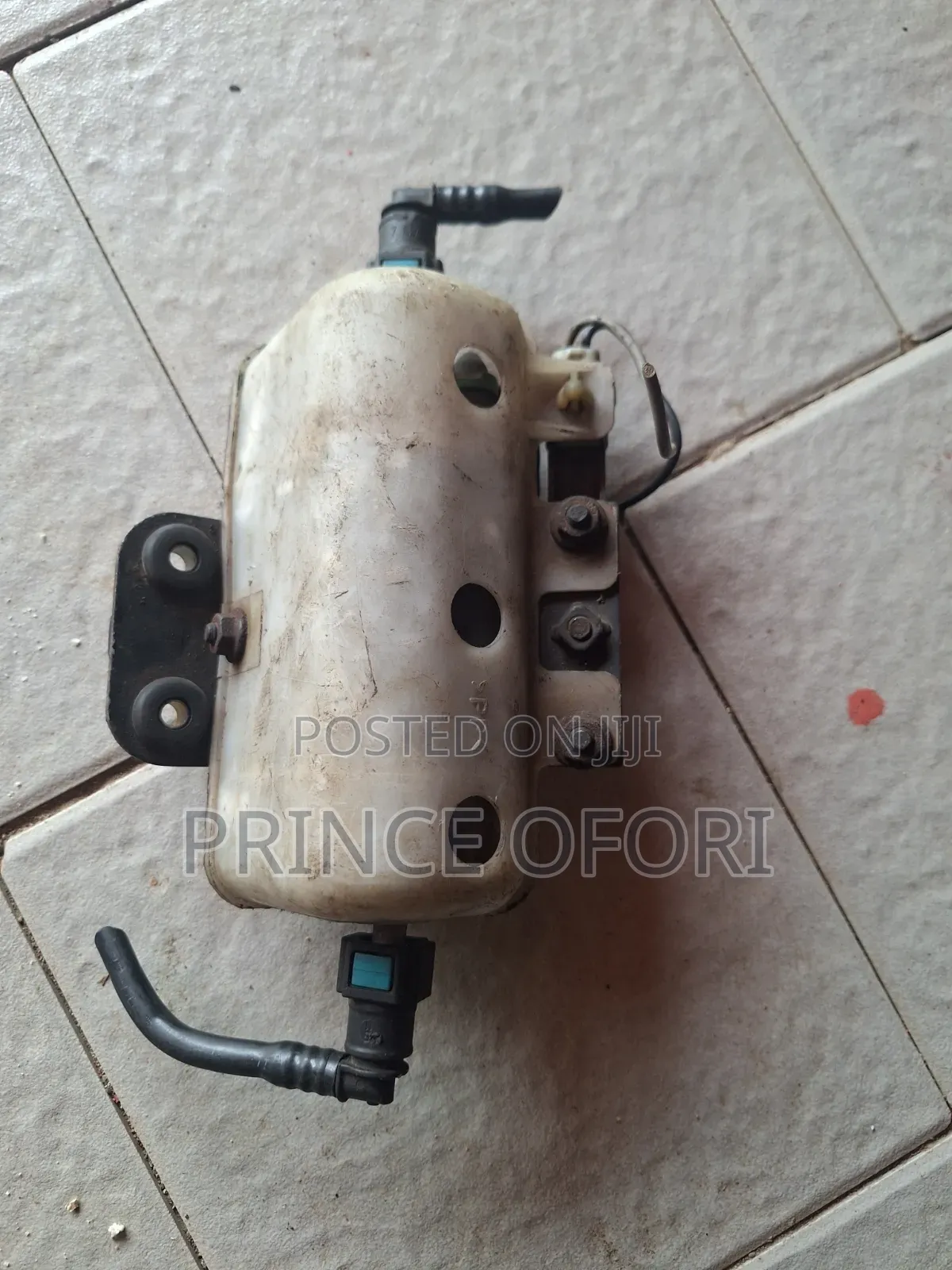 Fuel Pump Motor