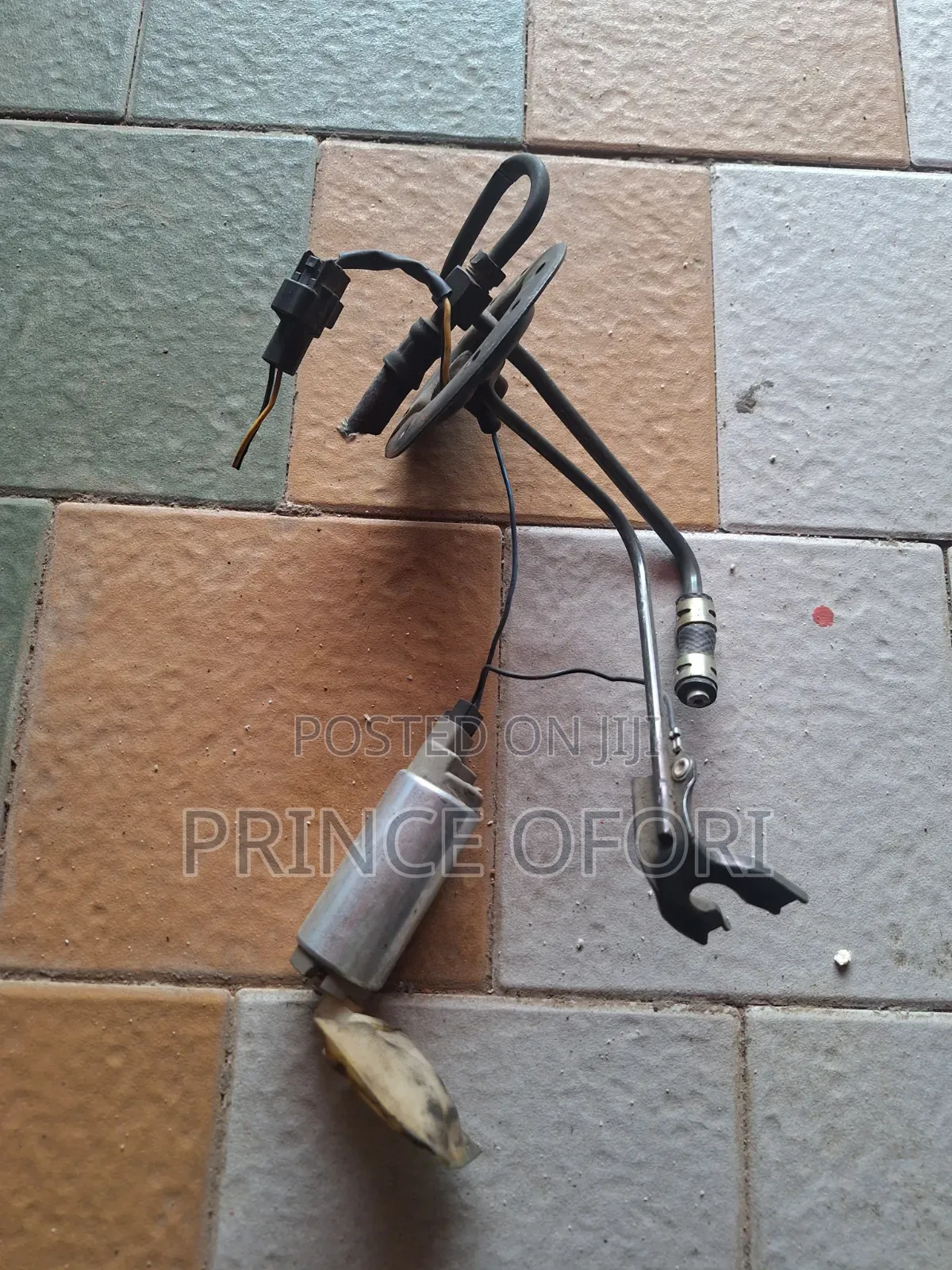 Fuel Pump Motor