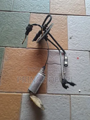 Fuel Pump Motor