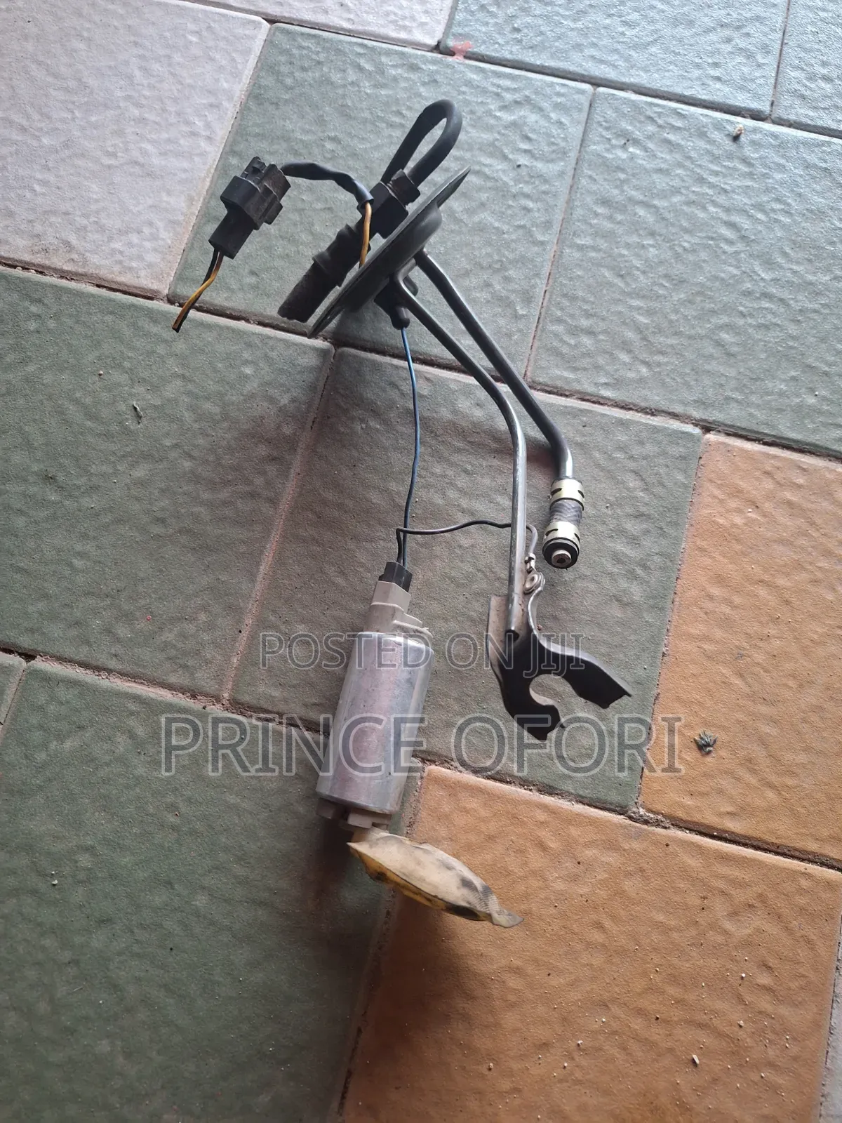 Fuel Pump Motor