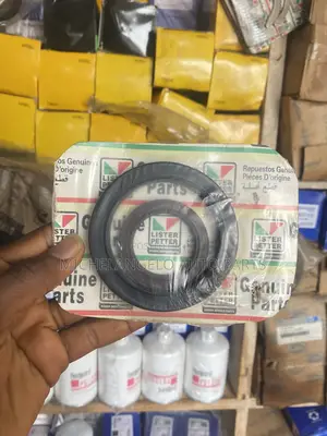 Oil Seal Lister Petter (Set)