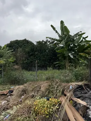  Prime Residential Plot for Sale – Danyame (Champion Road)
