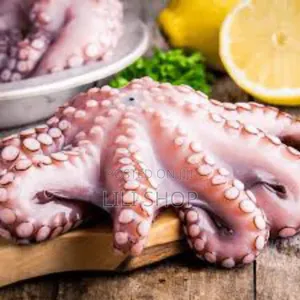 Fresh Frozen Octopus