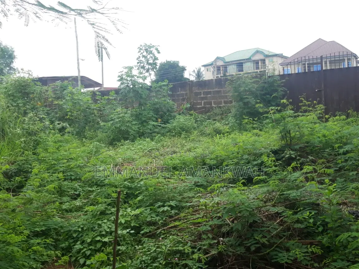 Titled 2 Plots of Land for Sale