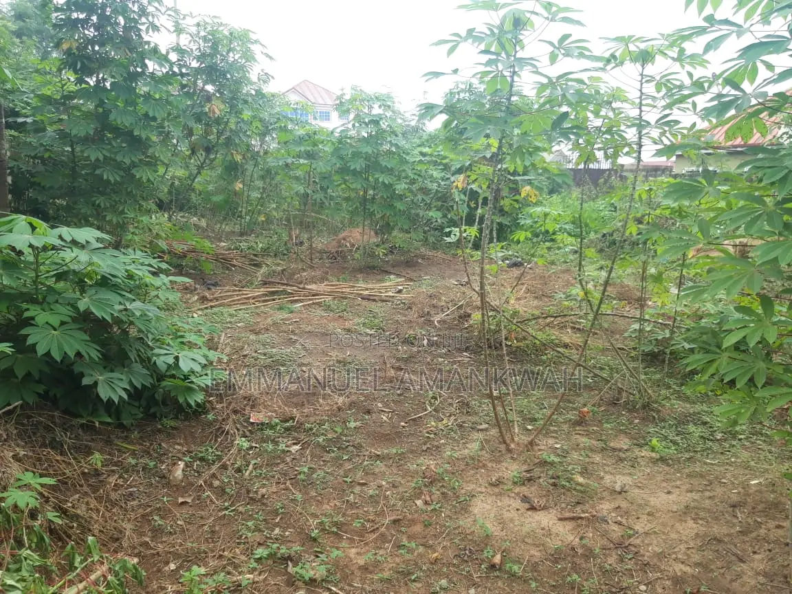 Titled 2 Plots of Land for Sale