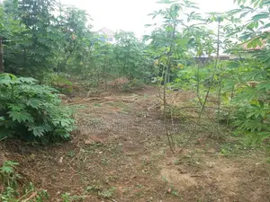 Titled 2 Plots of Land for Sale