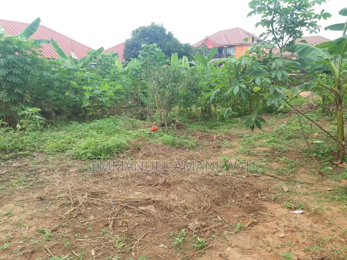 Titled 2 Plots of Land for Sale