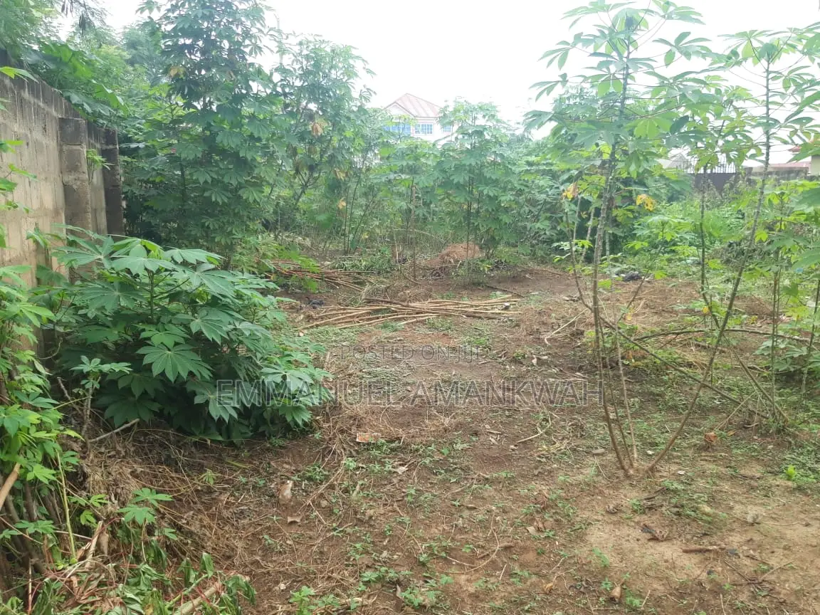 Titled 2 Plots of Land for Sale
