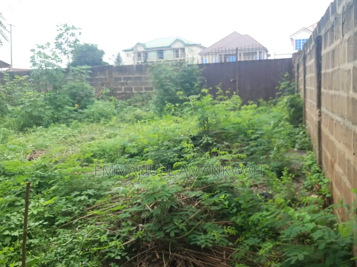 Titled 2 Plots of Land for Sale