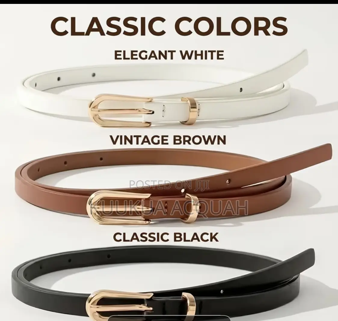3 in 1 Belt