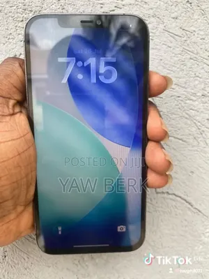 Apple iPhone 12 Pro Max 256 GB Gray