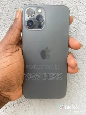 Apple iPhone 12 Pro Max 256 GB Gray