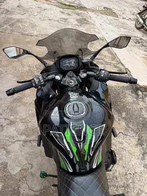 Kawasaki Ninja 1000 2023 Black