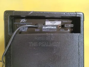 Peavey MicroBass Combo