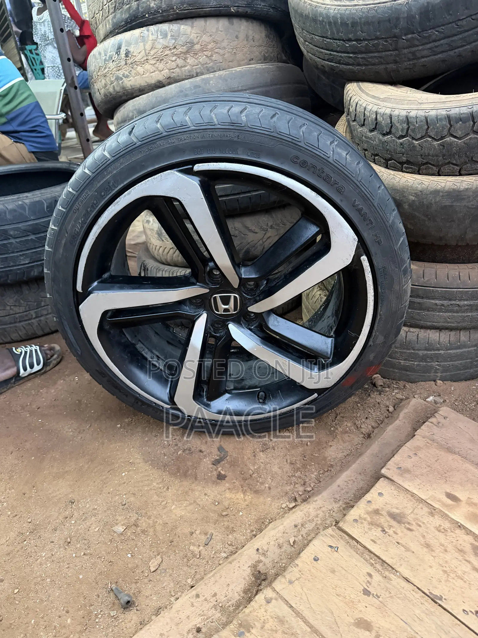 Honda Accord Rim