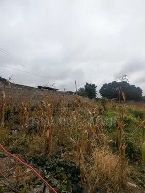 2 Plot for Sale at Kwabenya Acp