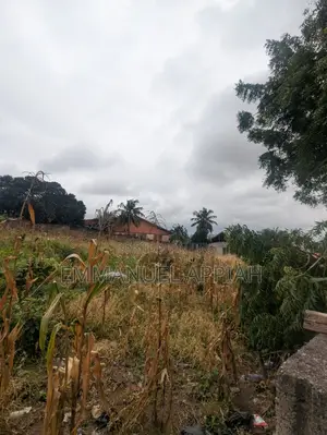 2 Plot for Sale at Kwabenya Acp