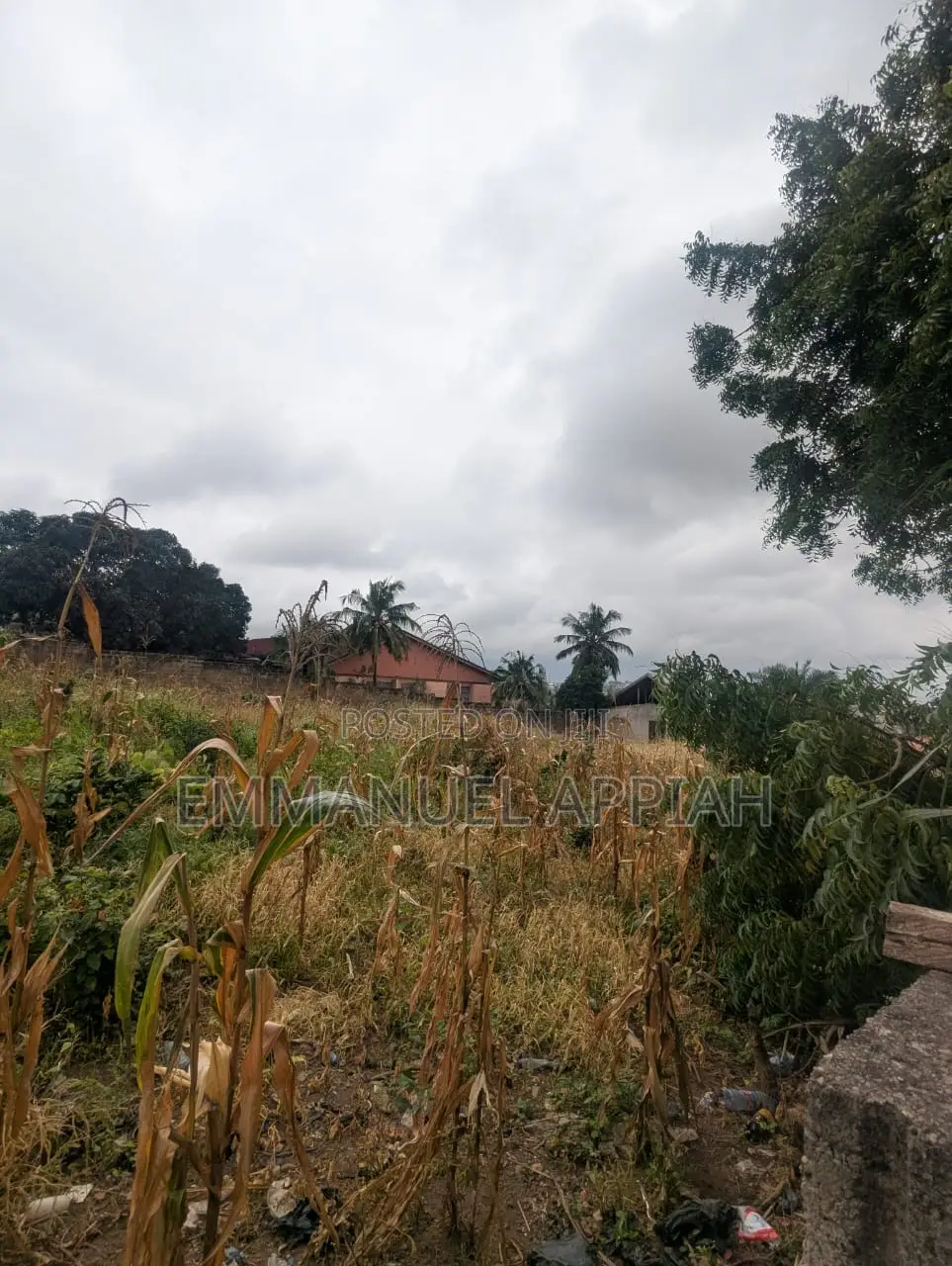 2 Plot for Sale at Kwabenya Acp