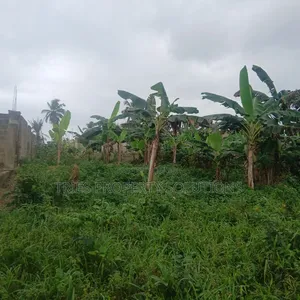Property for Sale