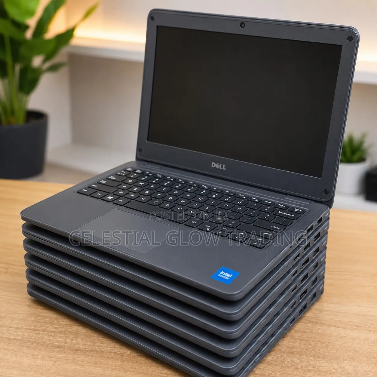Laptop Dell Latitude 3120 8GB Intel Core i5 SSD 256GB