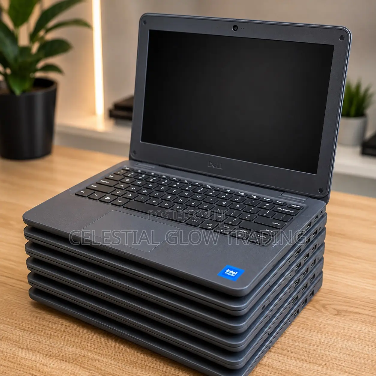 Laptop Dell Latitude 3120 8GB Intel Core i5 SSD 256GB