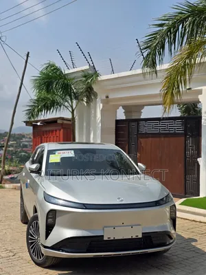 New Dongfeng Captain 2025 Silver