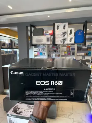 Canon Eos R6 v Mirrorless Camera