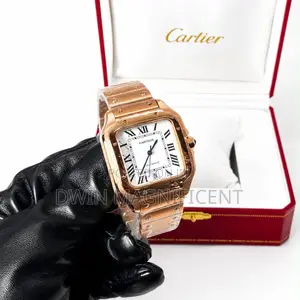 Cartier Santos De Cartier Watch