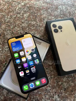 Apple iPhone 13 Pro Max 256 GB Gold