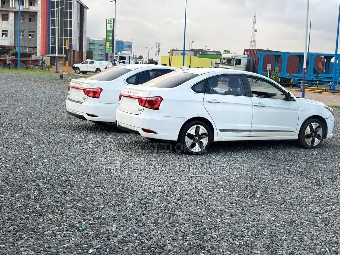 Dongfeng Fengxing Joyear 2021 White