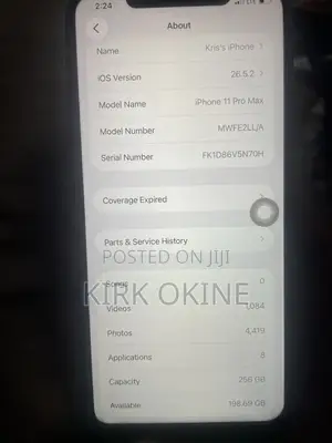 Apple iPhone 11 Pro Max 256 GB Black