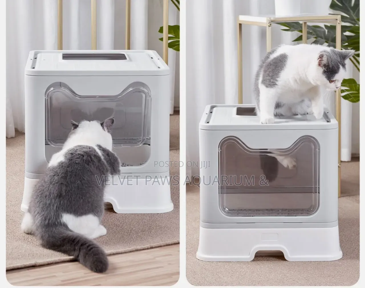 Extra Large Enclosed Amazon Cat Litter Box