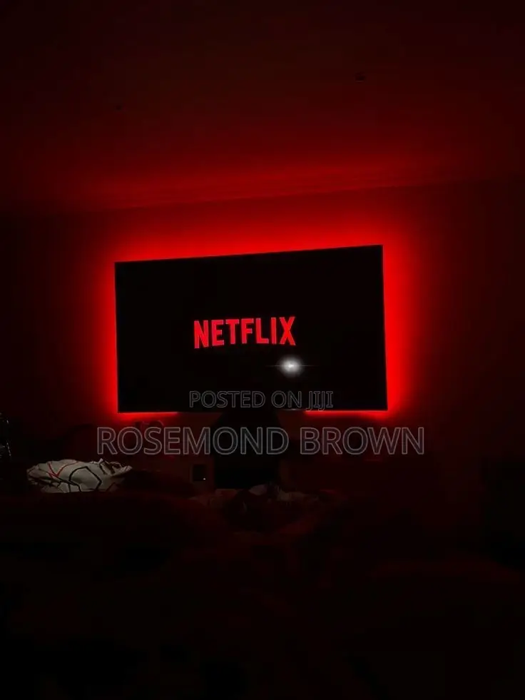 Shared Netflix Account