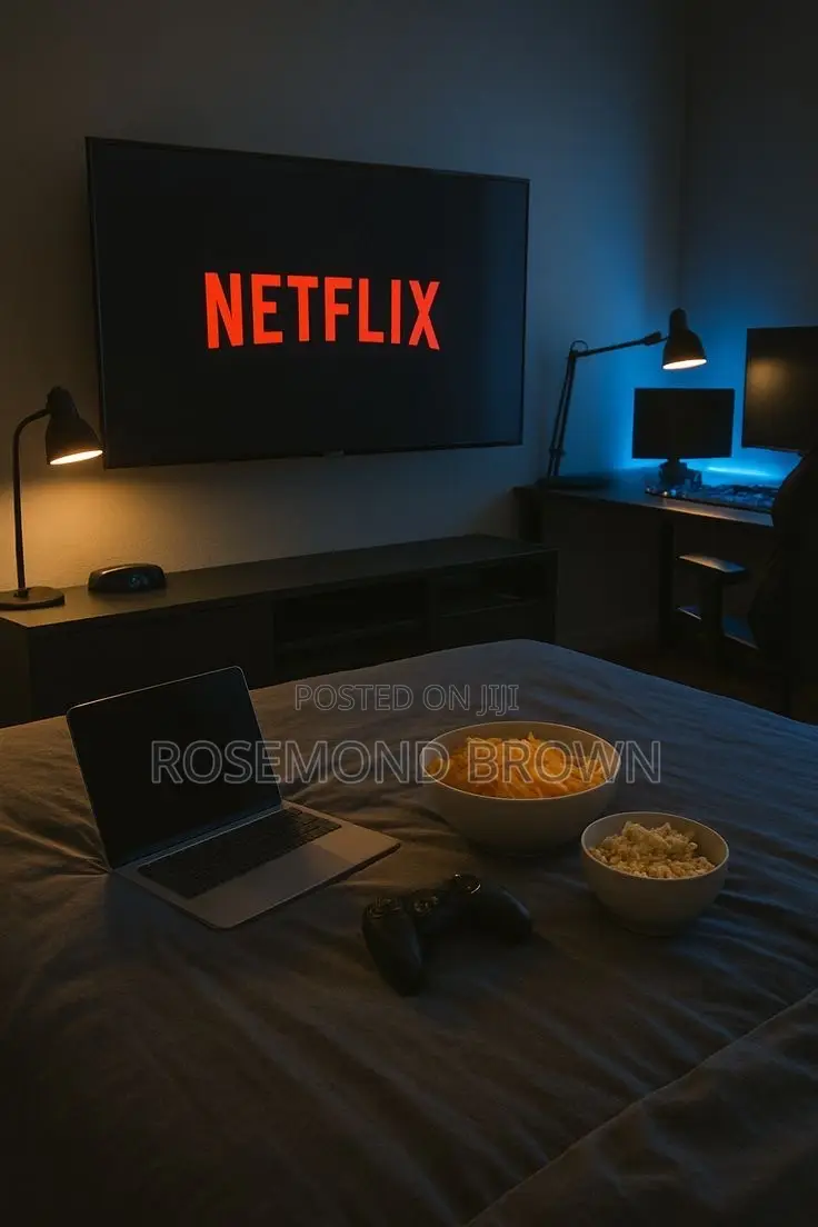 Shared Netflix Account