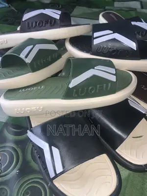 Luofu Slide (Brand New) High Quality