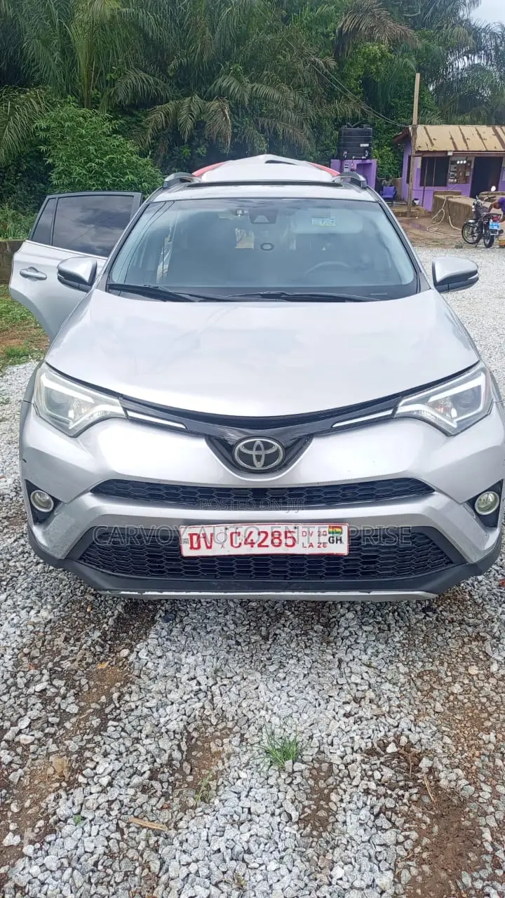 Toyota RAV4 XLE 4dr SUV AWD (2.5L 4cyl 6A) 2018 Silver